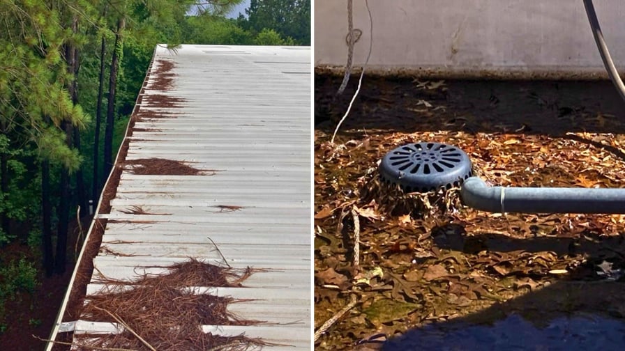 Blocked rooftop drain causing ponding water with debris buildup