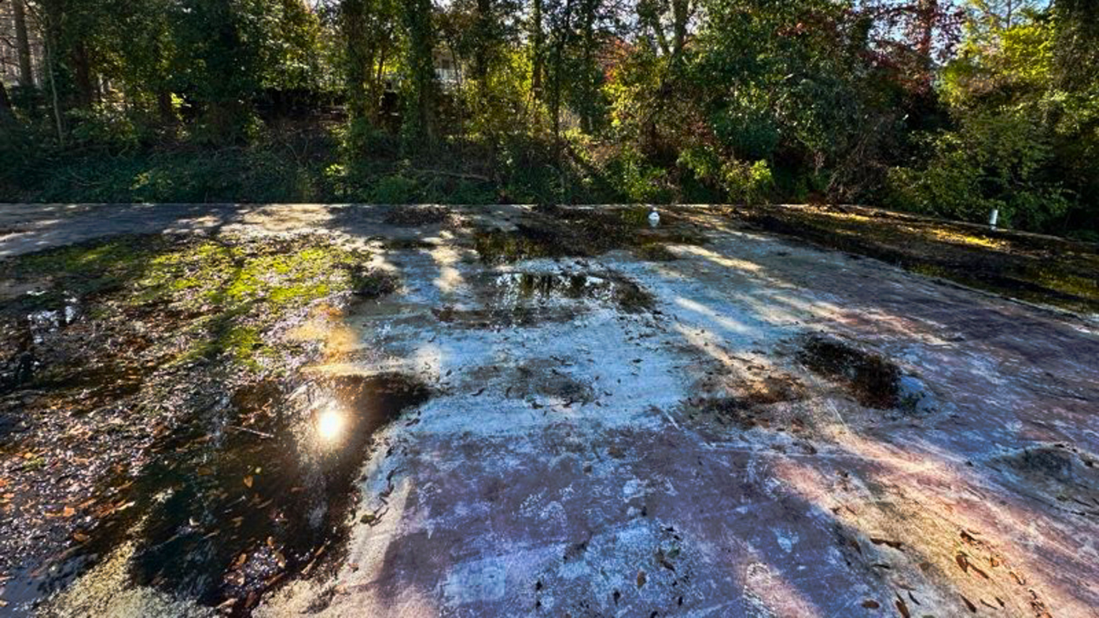 Ponding Water on Flat Roofs: Causes, Risks, and Solutions