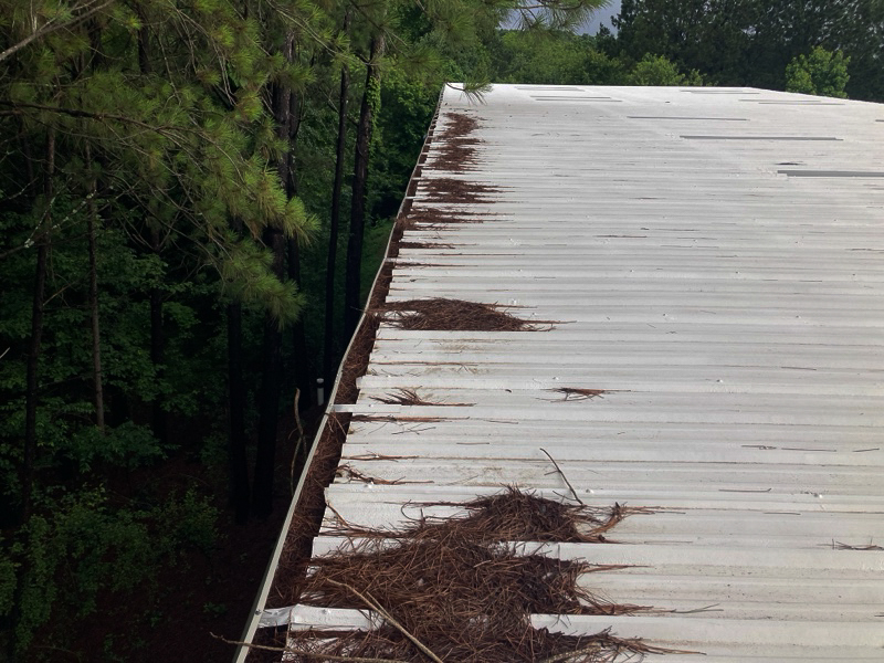Commercial rooftop with gutters blocked by tree needles